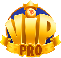 bingoblitzvip logo